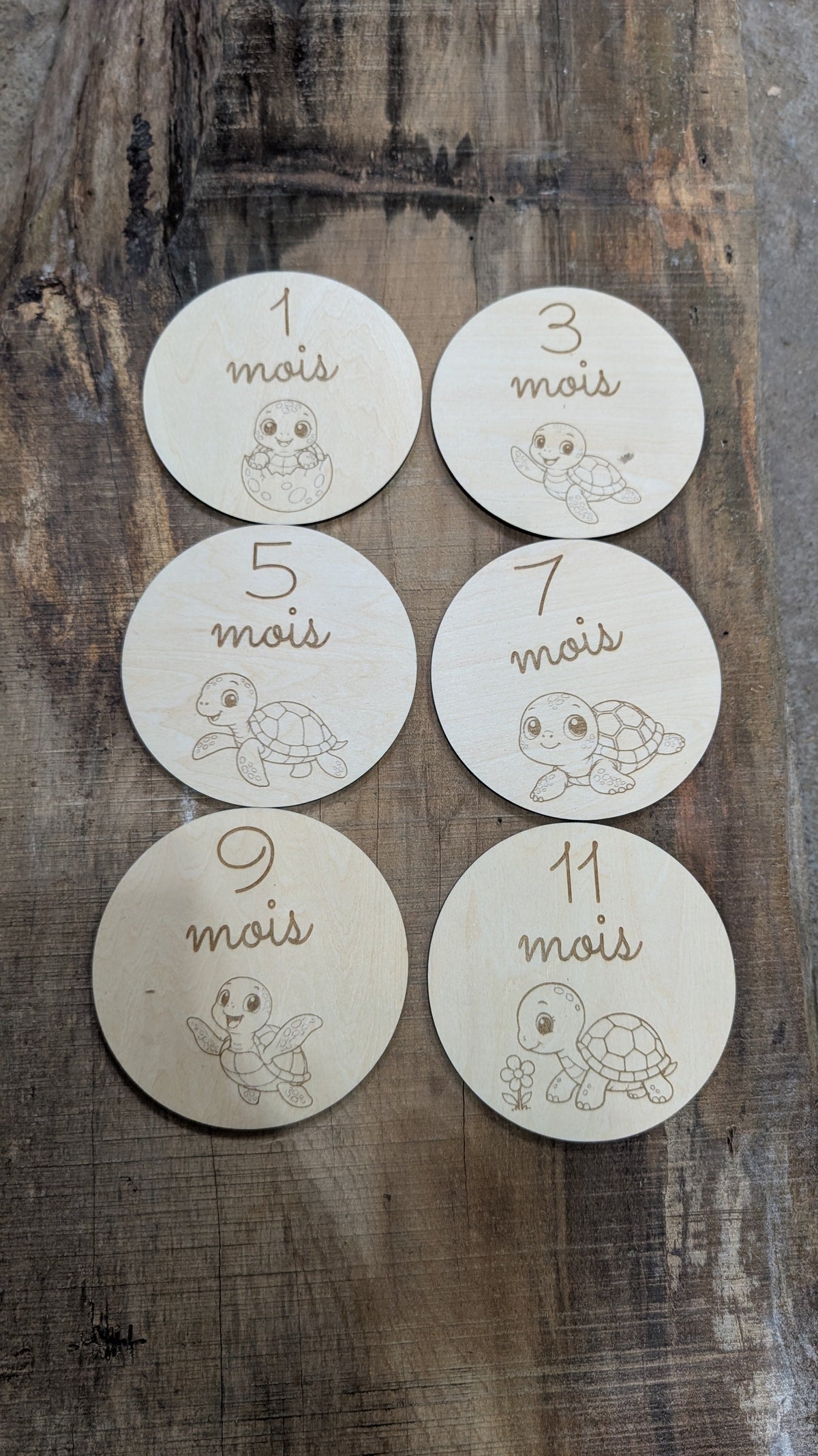 Disques jalons bébé mois 1, 3, 5, 7, 9, 11 avec tortue gravée au laser